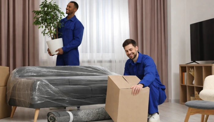 Furniture Appliances