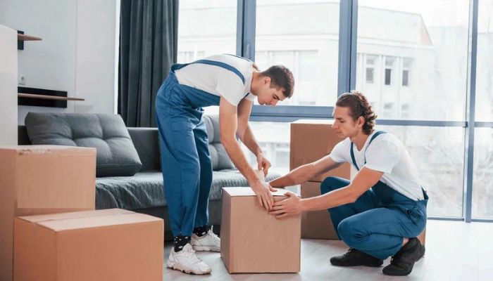 packing & moving companies